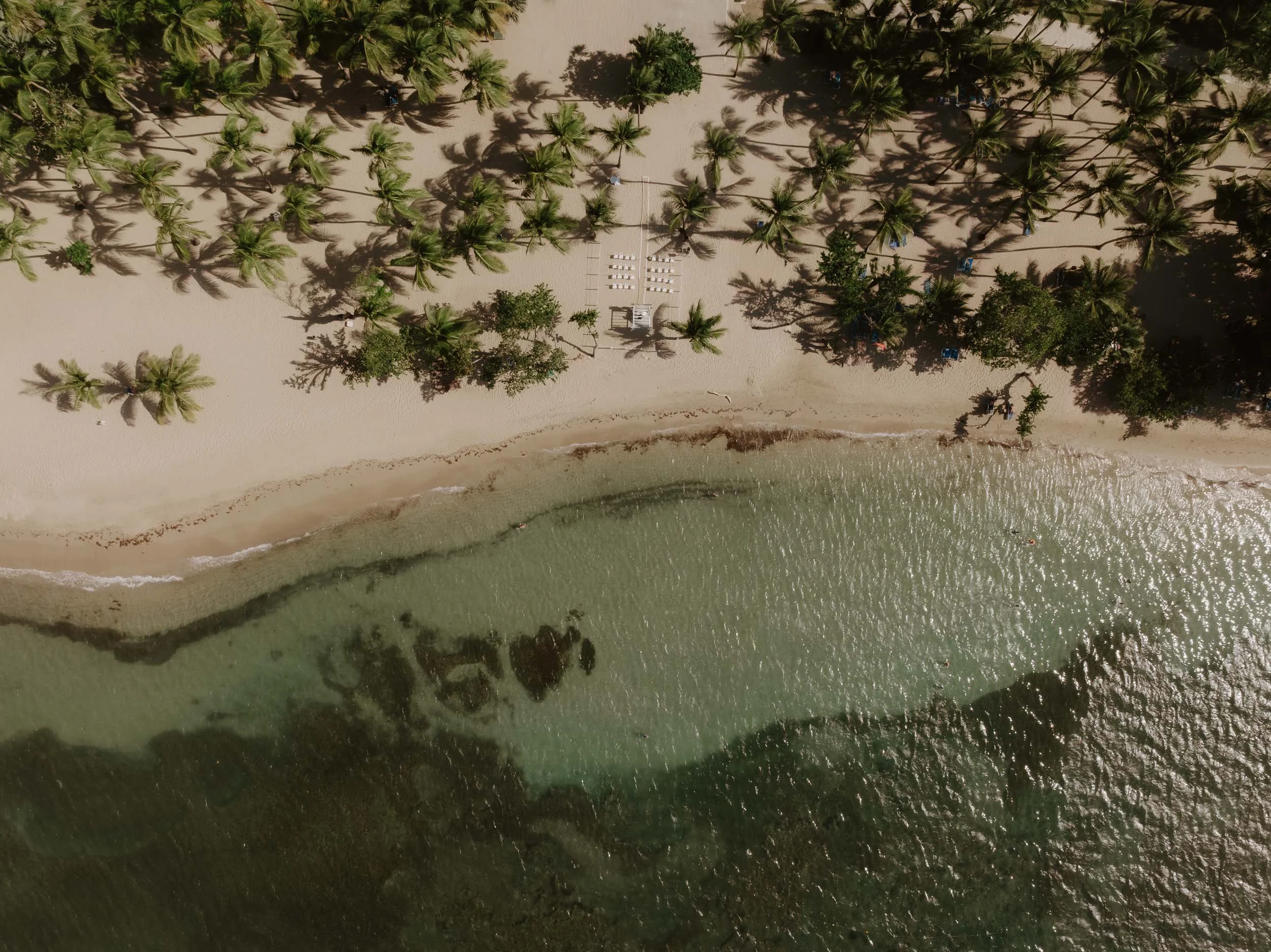 puerto-plata-dominican-republic-wedding-photographer-adolfo-florentino (72).jpg