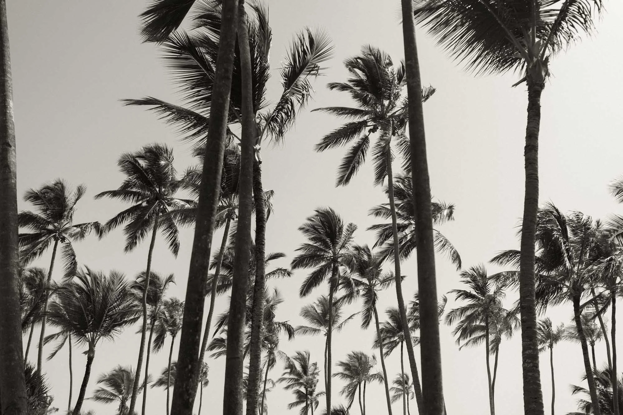 1 Tori-Andrew-Wedding-by-Adolfo-Florentino-Photography-Bavaro-Punta-Cana-Dominican-Republic (32).jpg