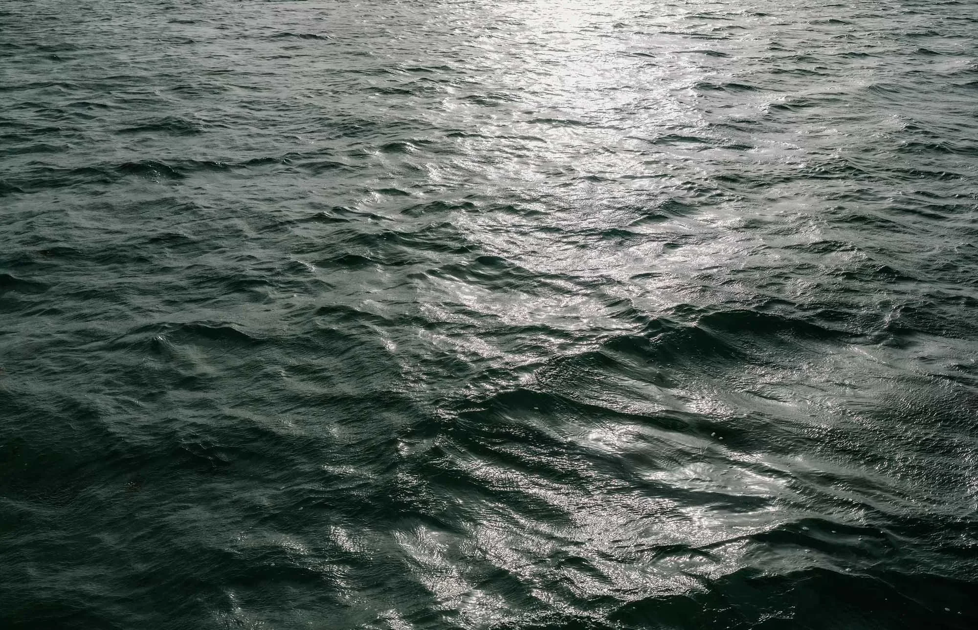 4 Tori-Andrew-Reception-Party-Wedding-by-Adolfo-Florentino-Photography-Bavaro-Punta Cana-Dominican-Republic (211)(2).jpg