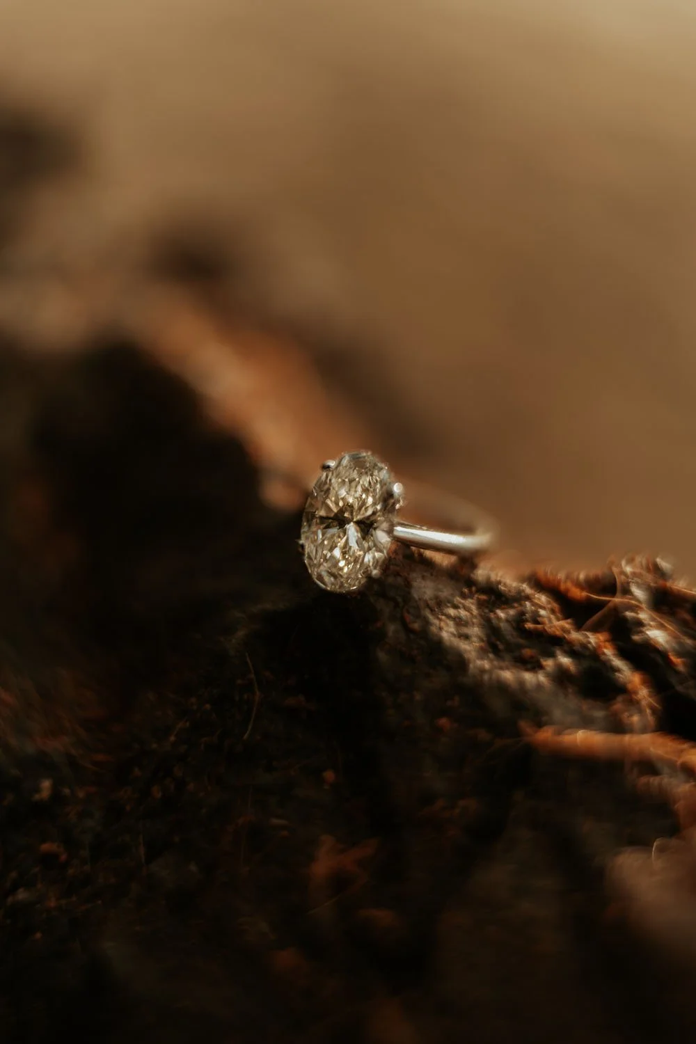 wedding ring in rocks in samana engagement proposal in dominican republic