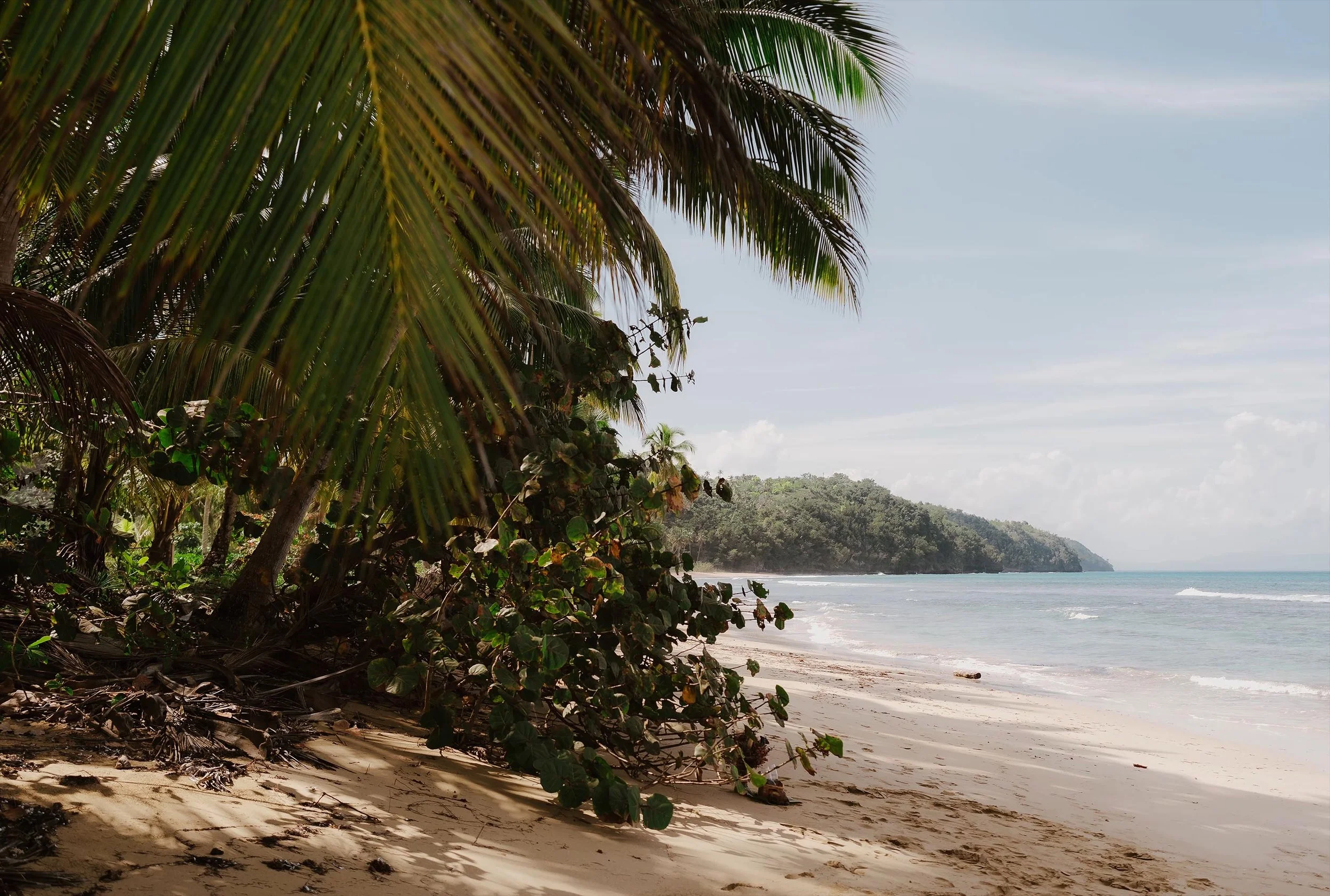 Beach in Samana Dominican Republic, full blue sky and turquoise water