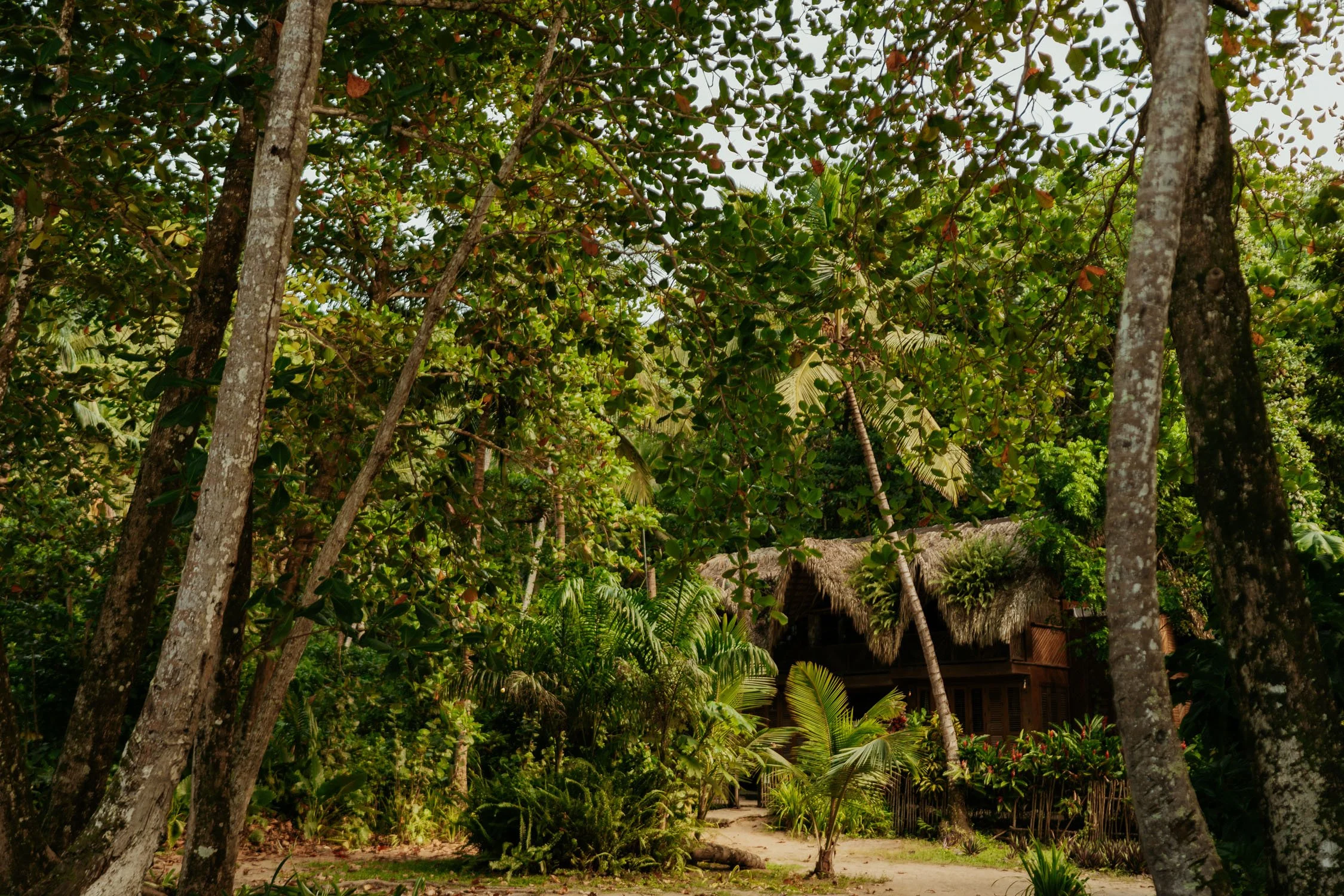 Outdoor engagement portraits with tropical mountains and golden light in Samaná