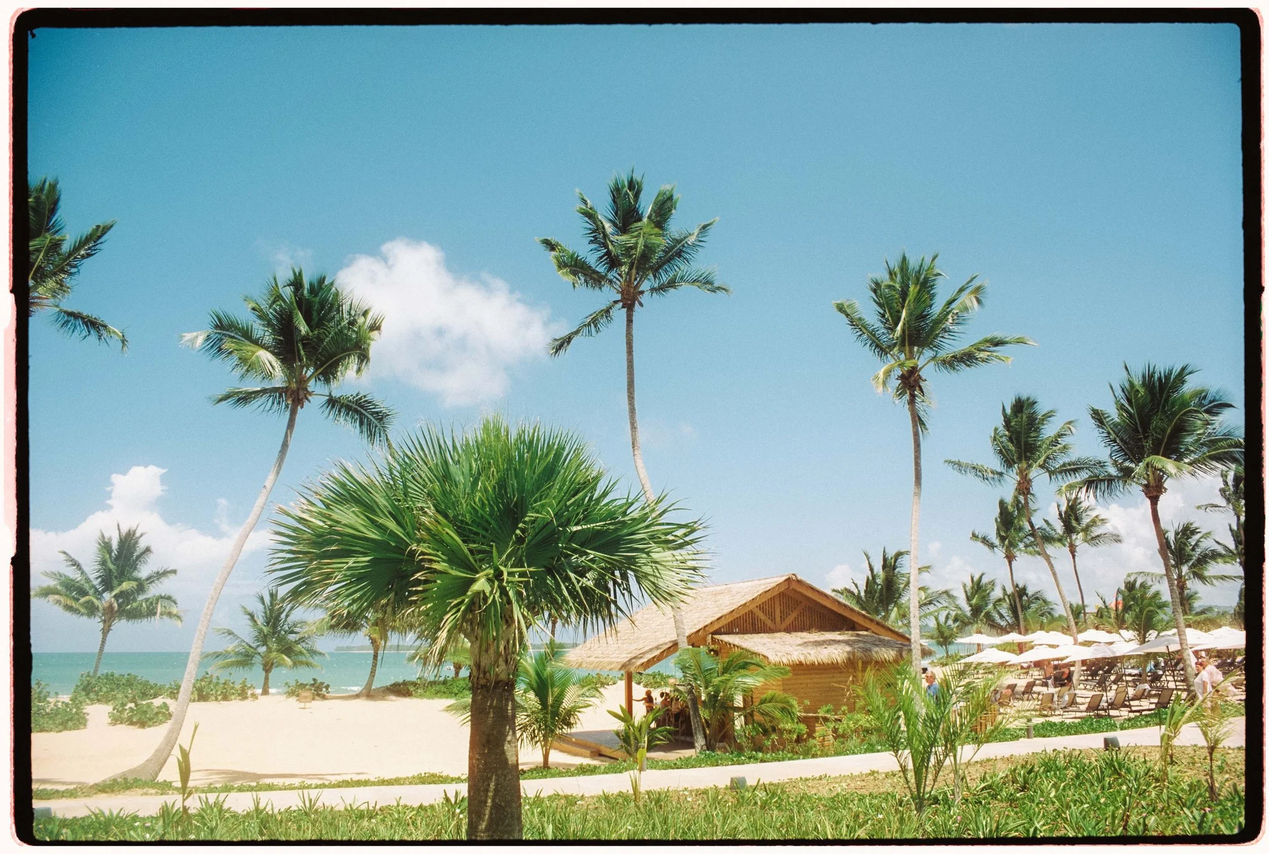 35mm film photo of the beach view of the Secrets and Dreams Esmeralda in Miches