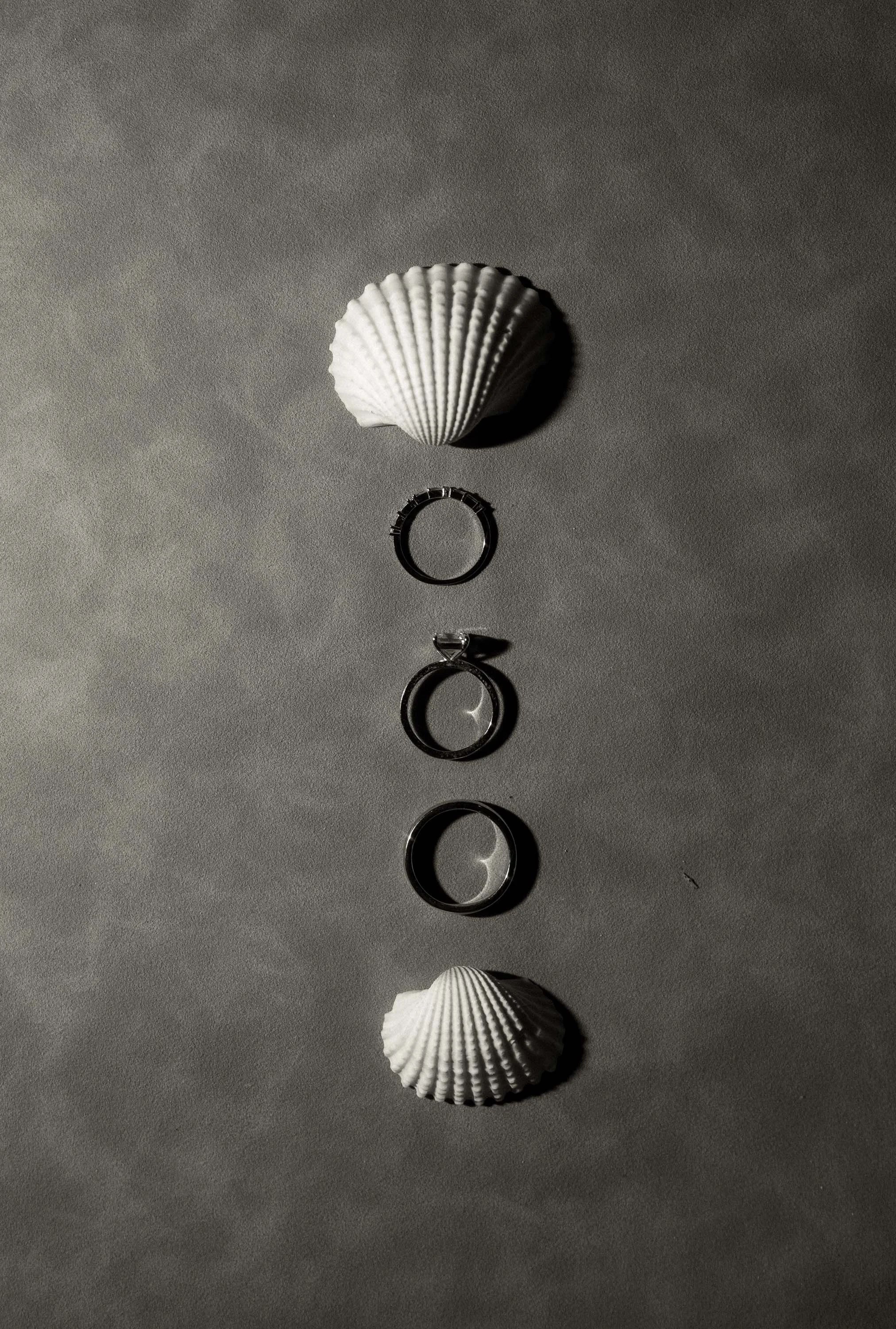 Detail photo of the wedding rings
