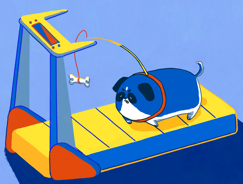 Pet Obesity is a Growing Problem