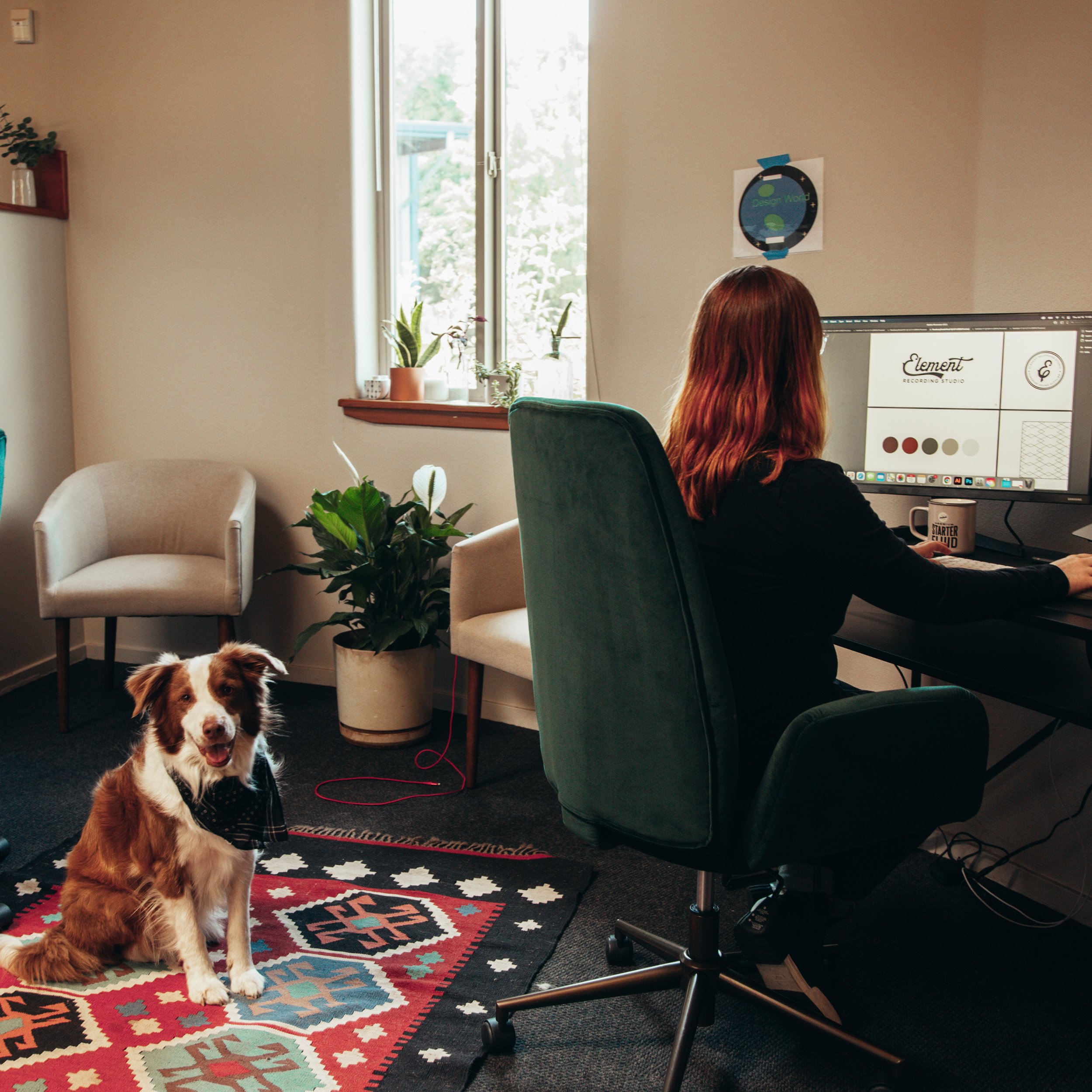 How We Make Our Office DogFriendly and Productive — NAV Creative