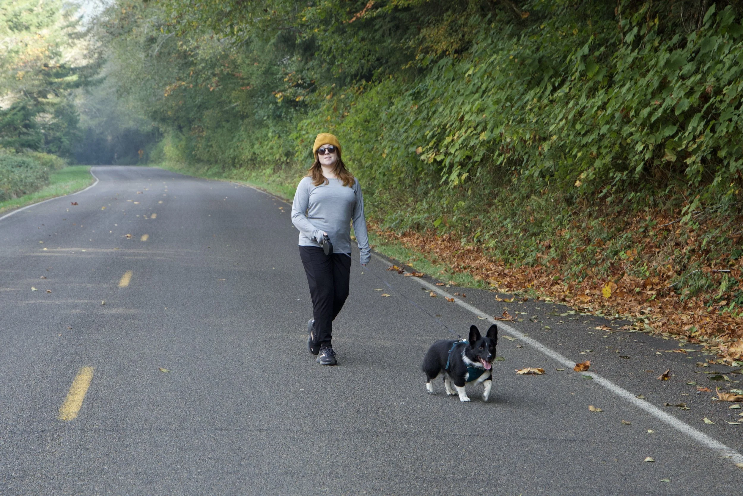 How We Make Our Office DogFriendly and Productive — NAV Creative