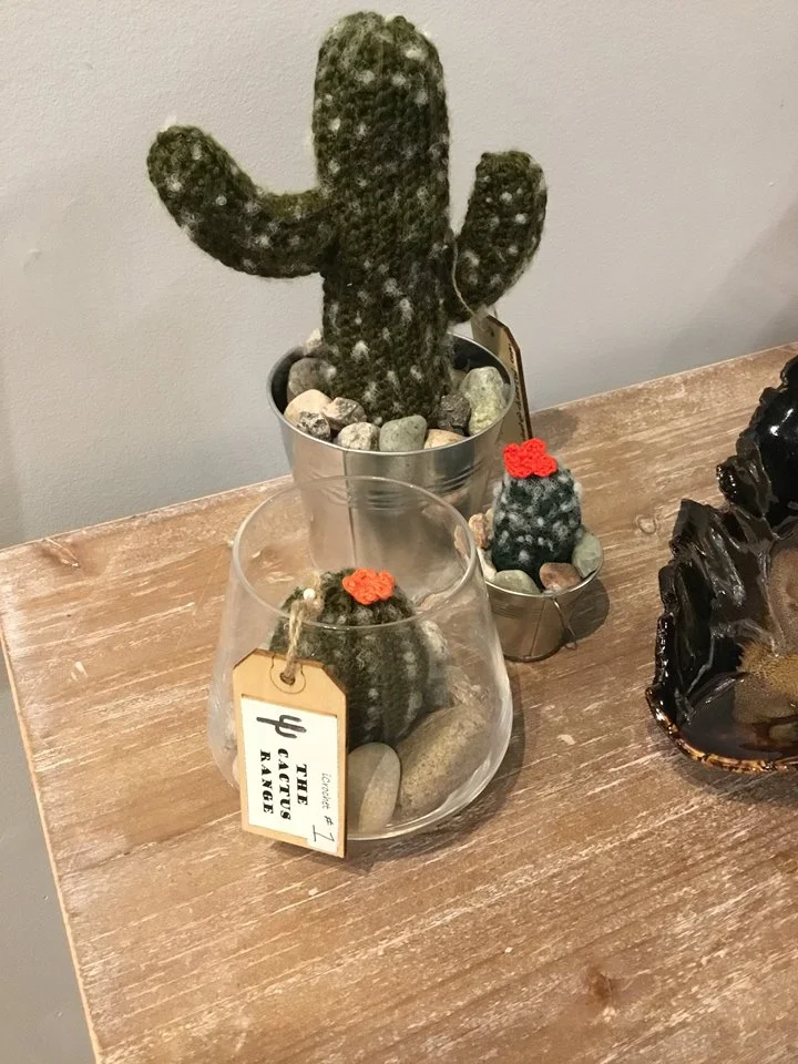 Cactus! from Cassie at The Cactus Range!