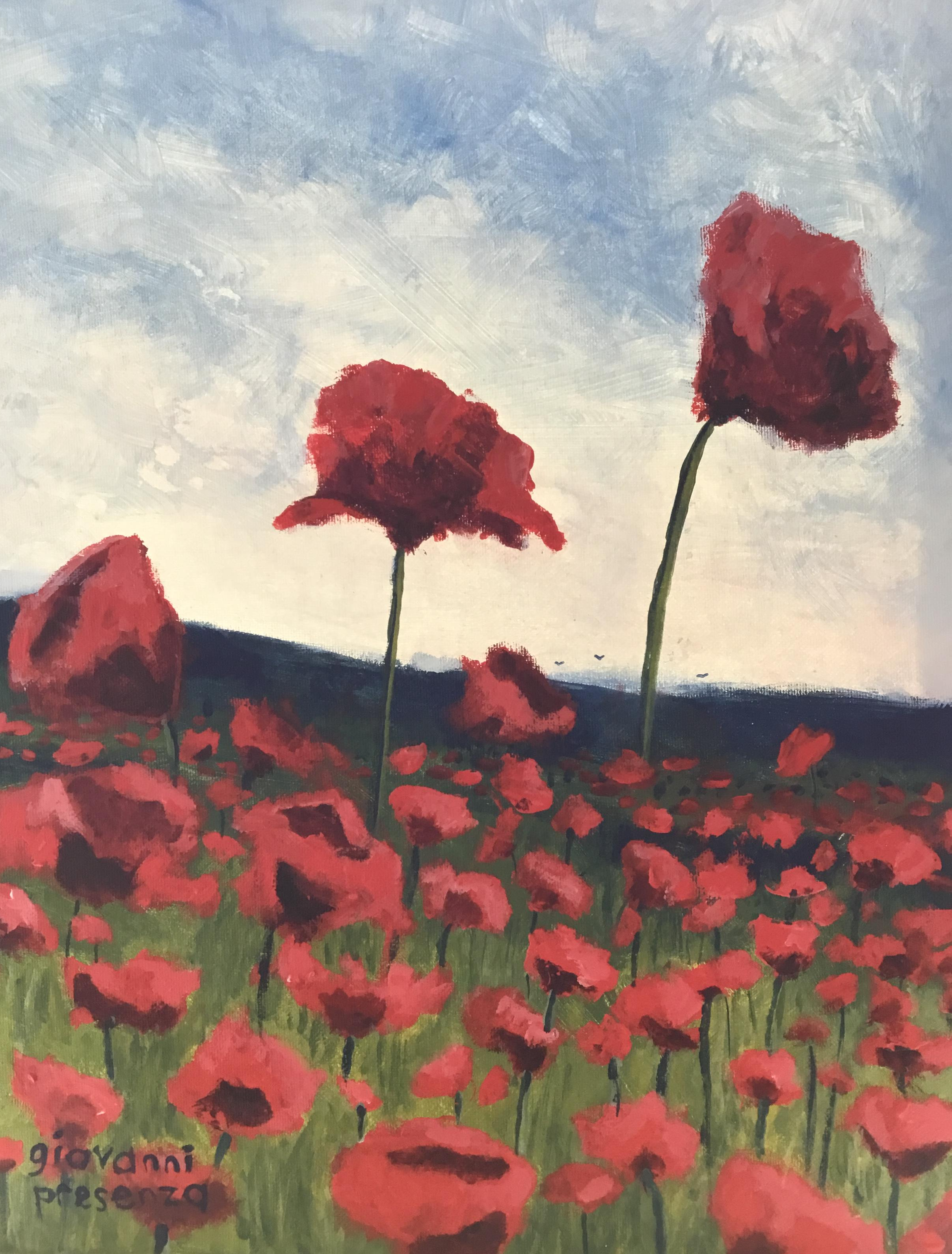 Poppies, Acrylic on Canvas, 16x20”, unframed