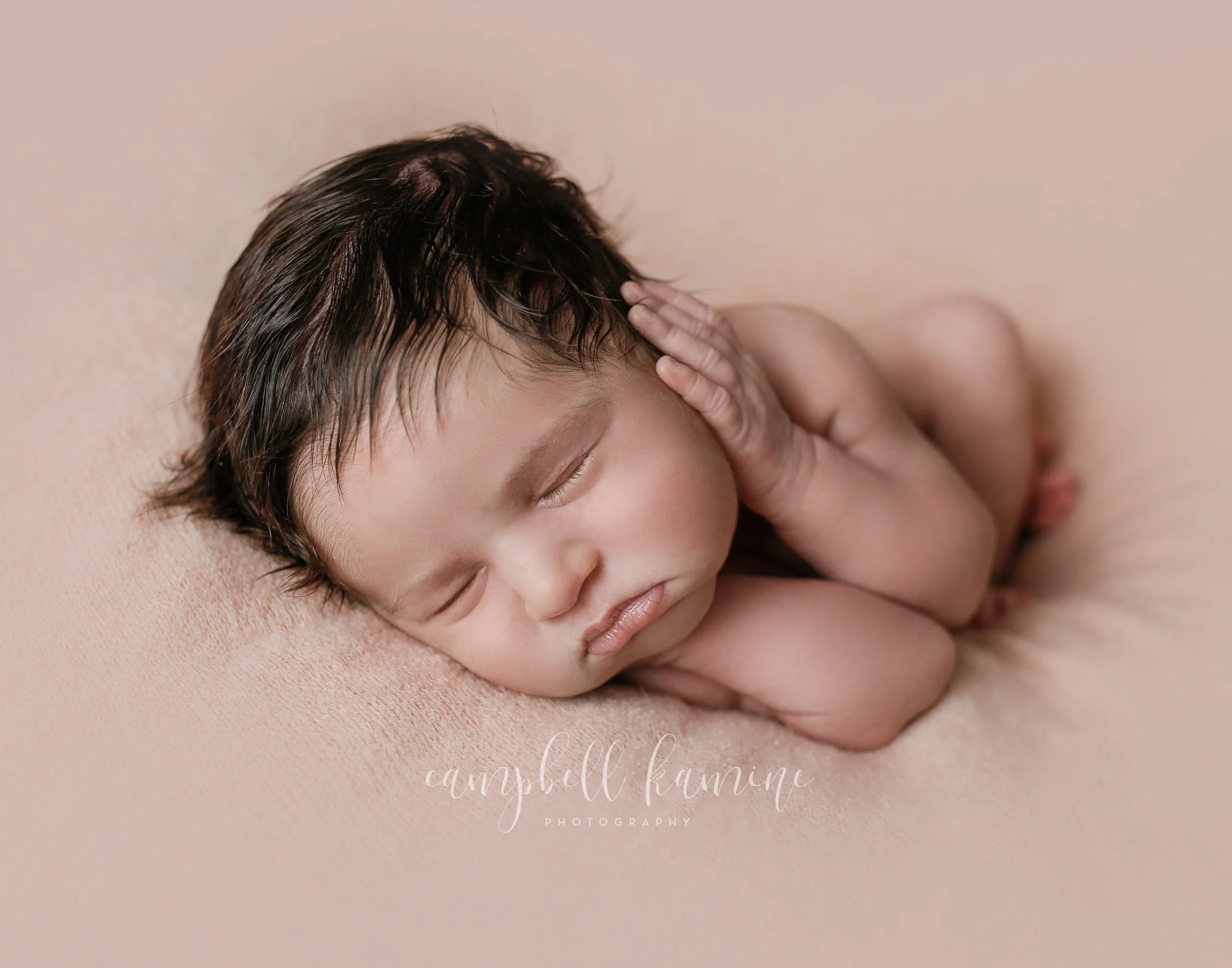 Baby Rose | Campbell Kamine Photography -23.jpg