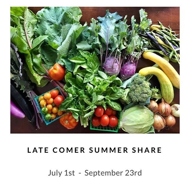 We&rsquo;re are expanding our CSA shares!  If you&rsquo;re a late comer that wants to get in on all the summer goodness sign up this weekend to become a member.  Tomatoes 🍅 are about to ripen and sugar snap peas are here... just saying!  Your pick u