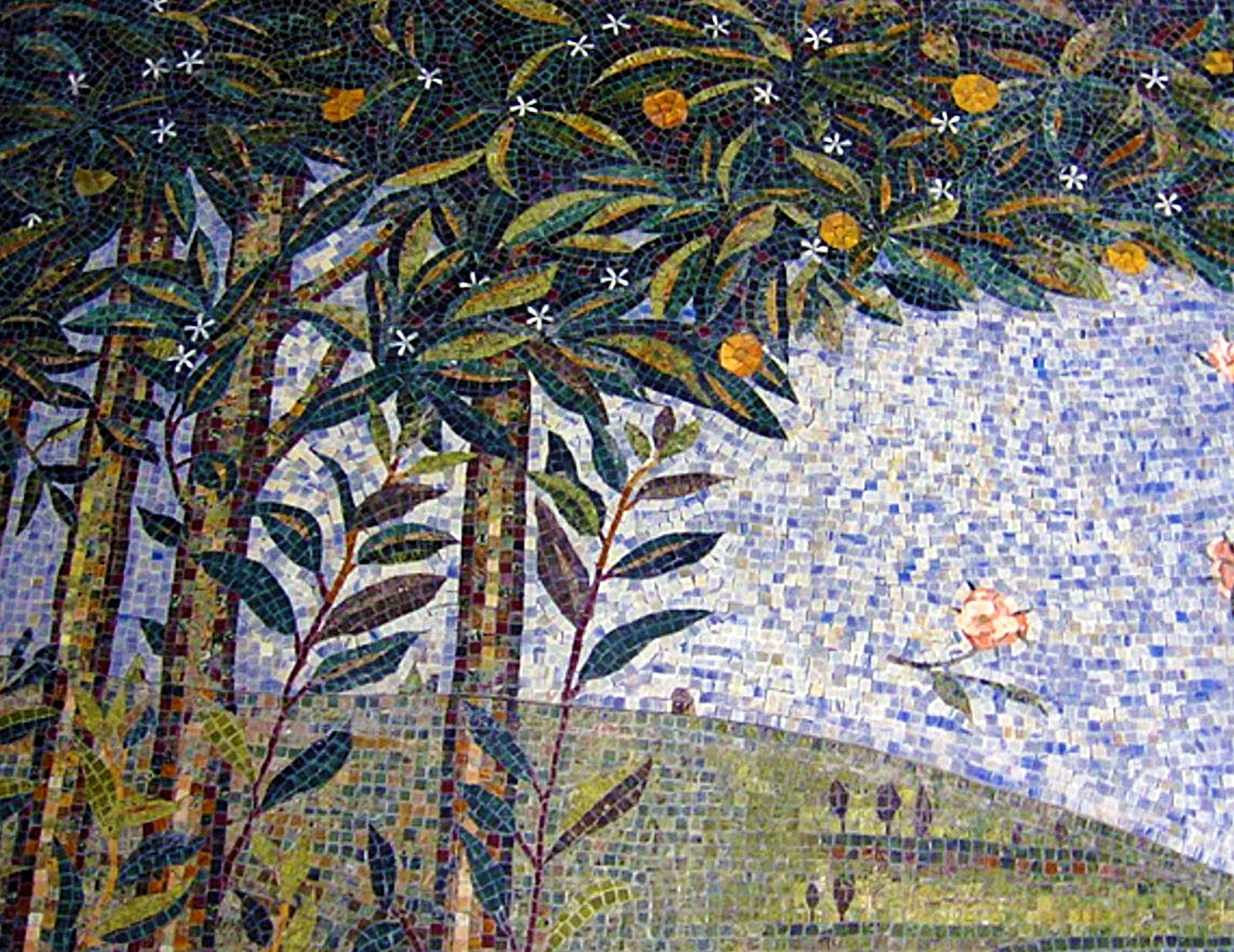 Plants 01.jpg