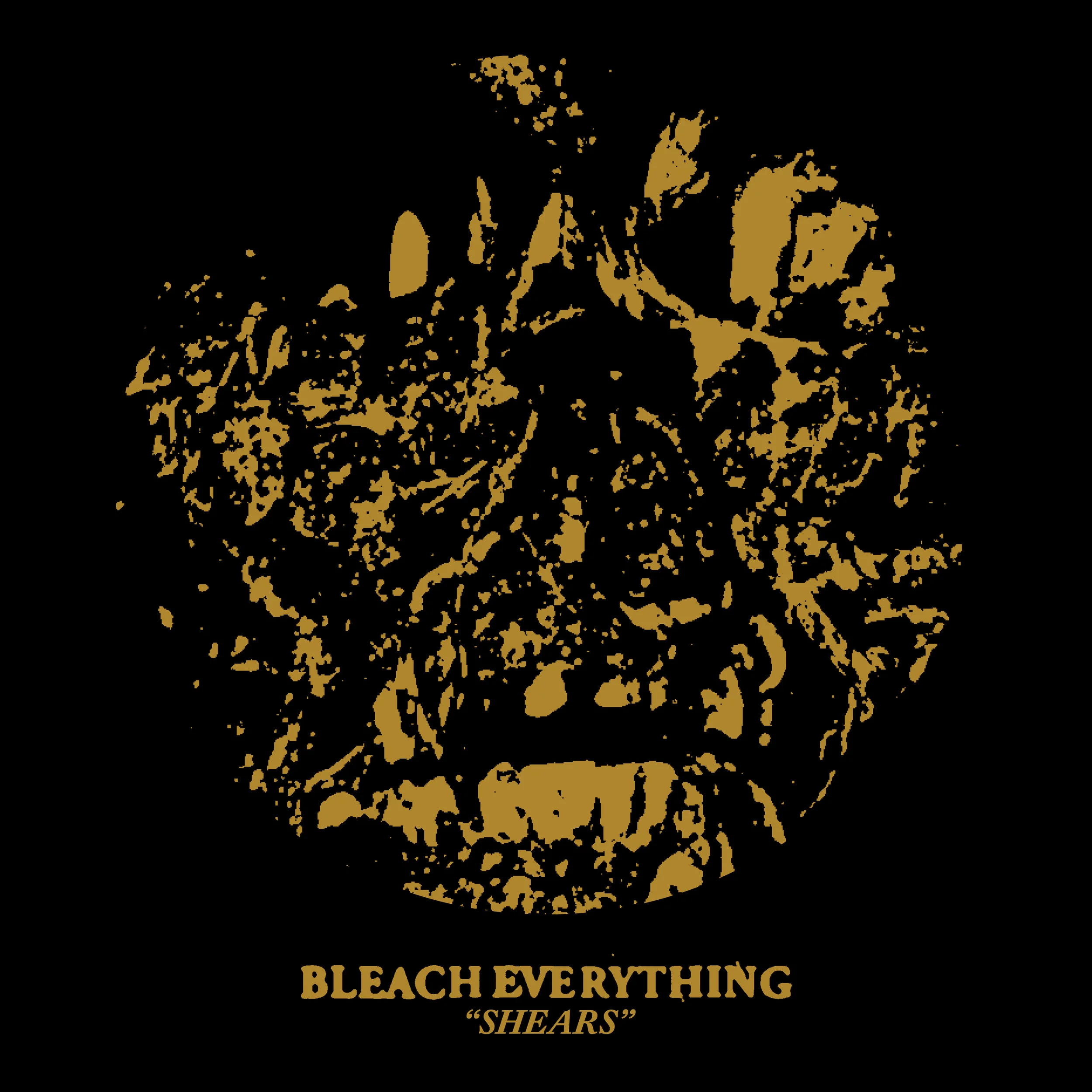 BLEACH EVERYTHING: Cvlt Nation Premieres “Shears” Video; So We Gnaw Debut LP From Richmond Hardcore Punk Outfit Sees Release Next Week