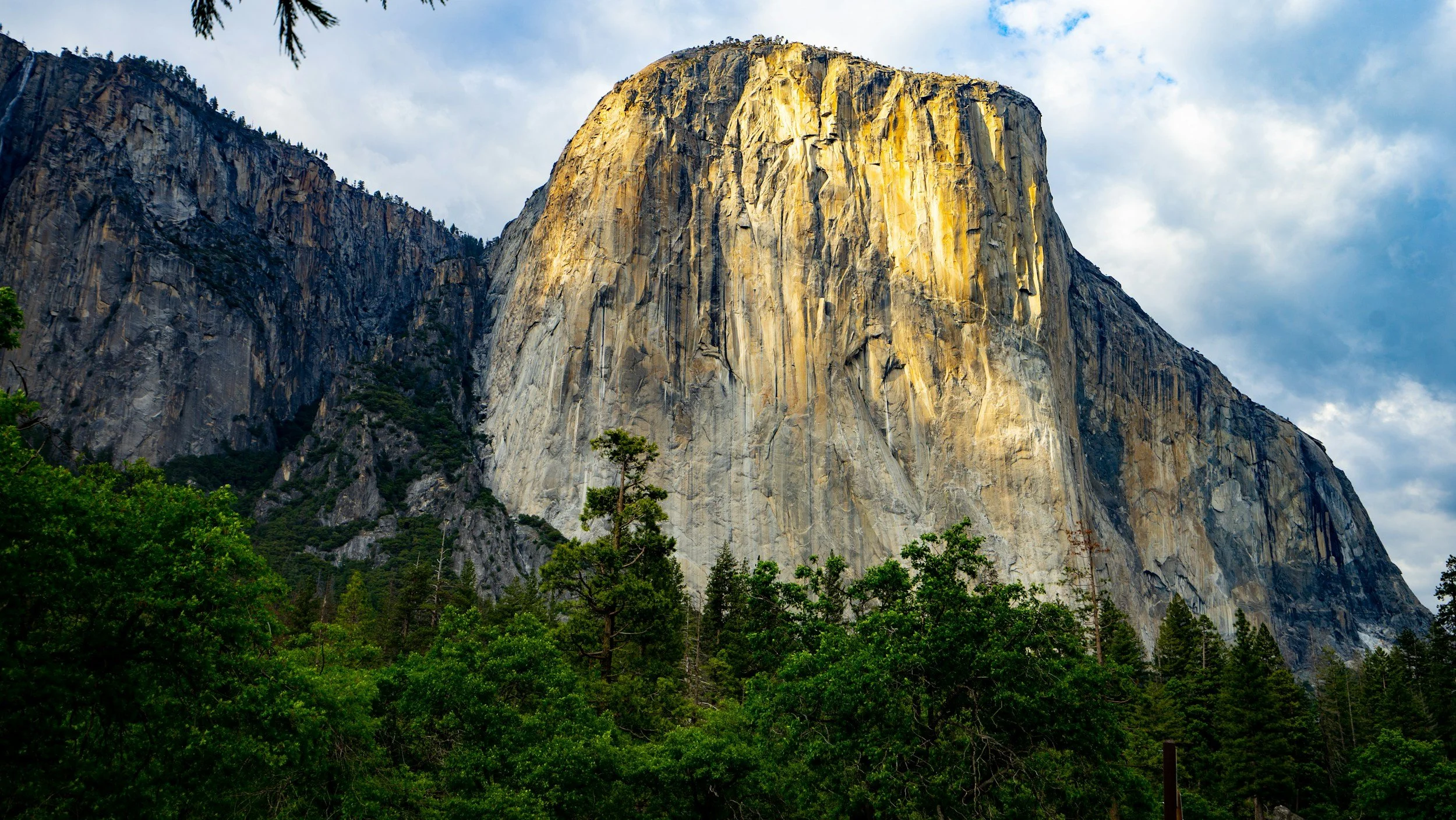 Yosemite Camping Trip