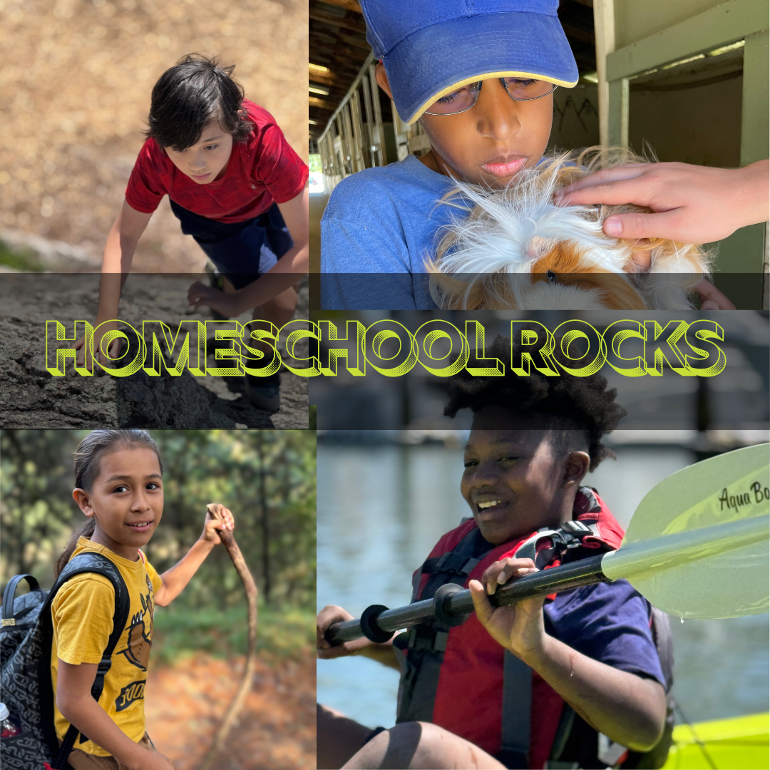 Homeschool Rocks Adventure (Wed)