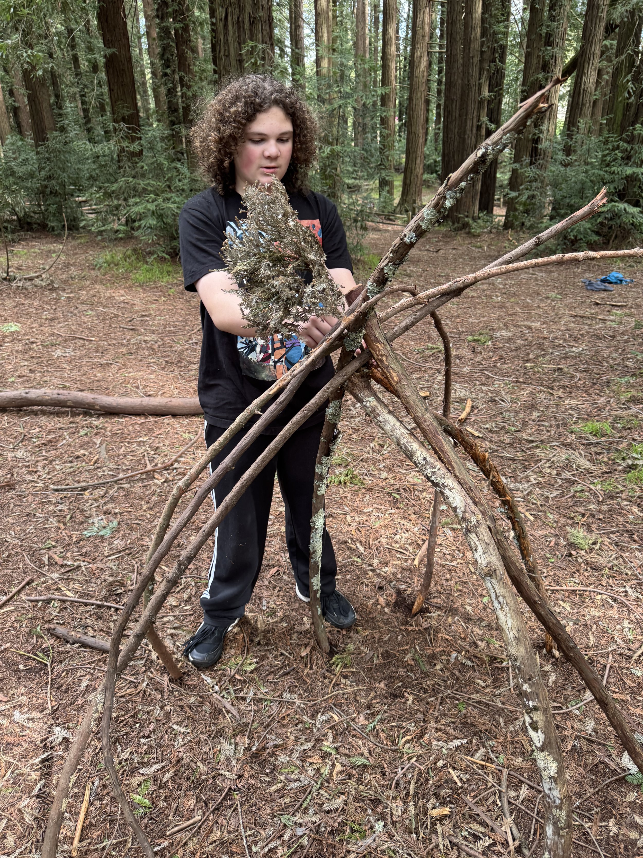 Homeschool Rocks Adventure Course