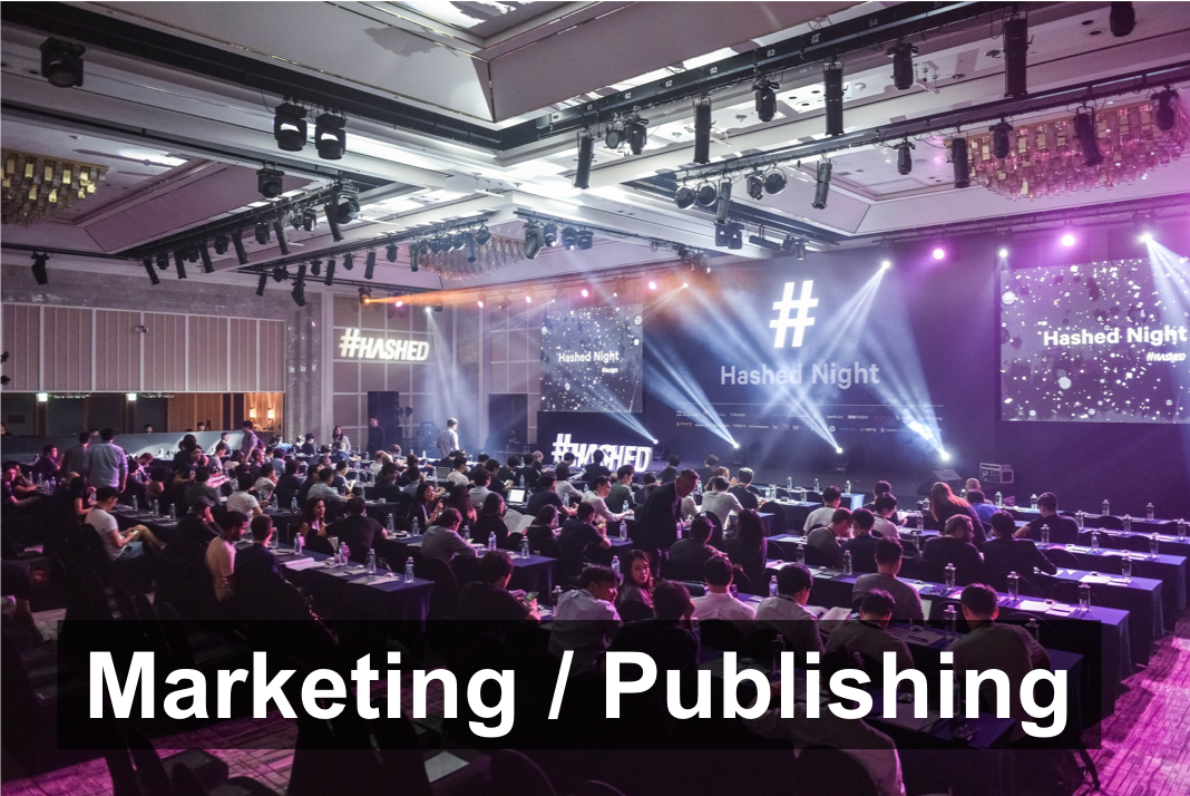 Marketing strategy/publishing consultations