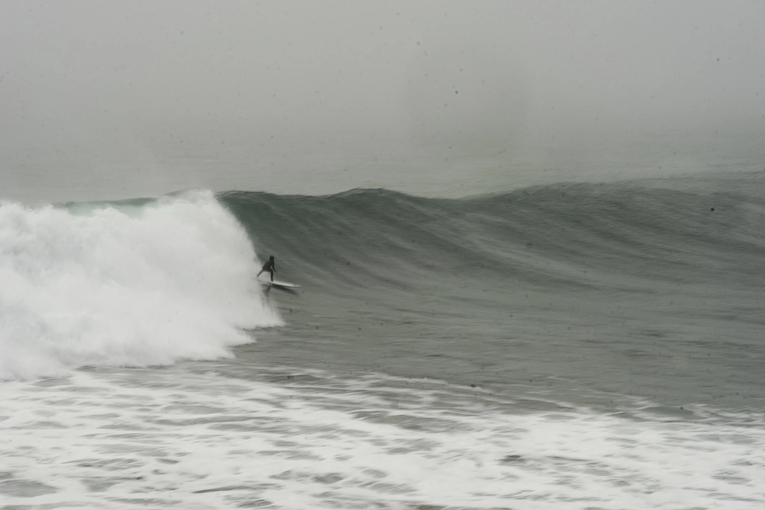 DSC08746.jpg