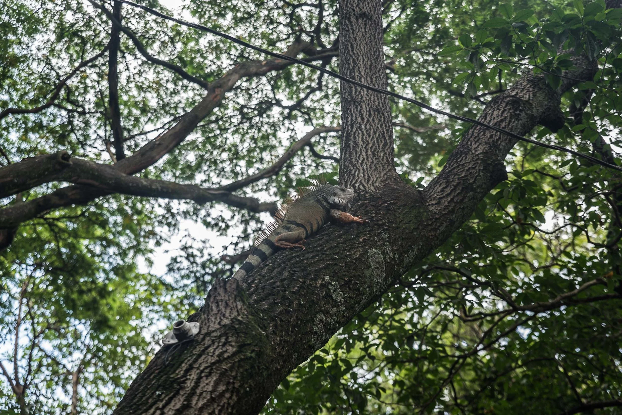 DSC_0668.jpg