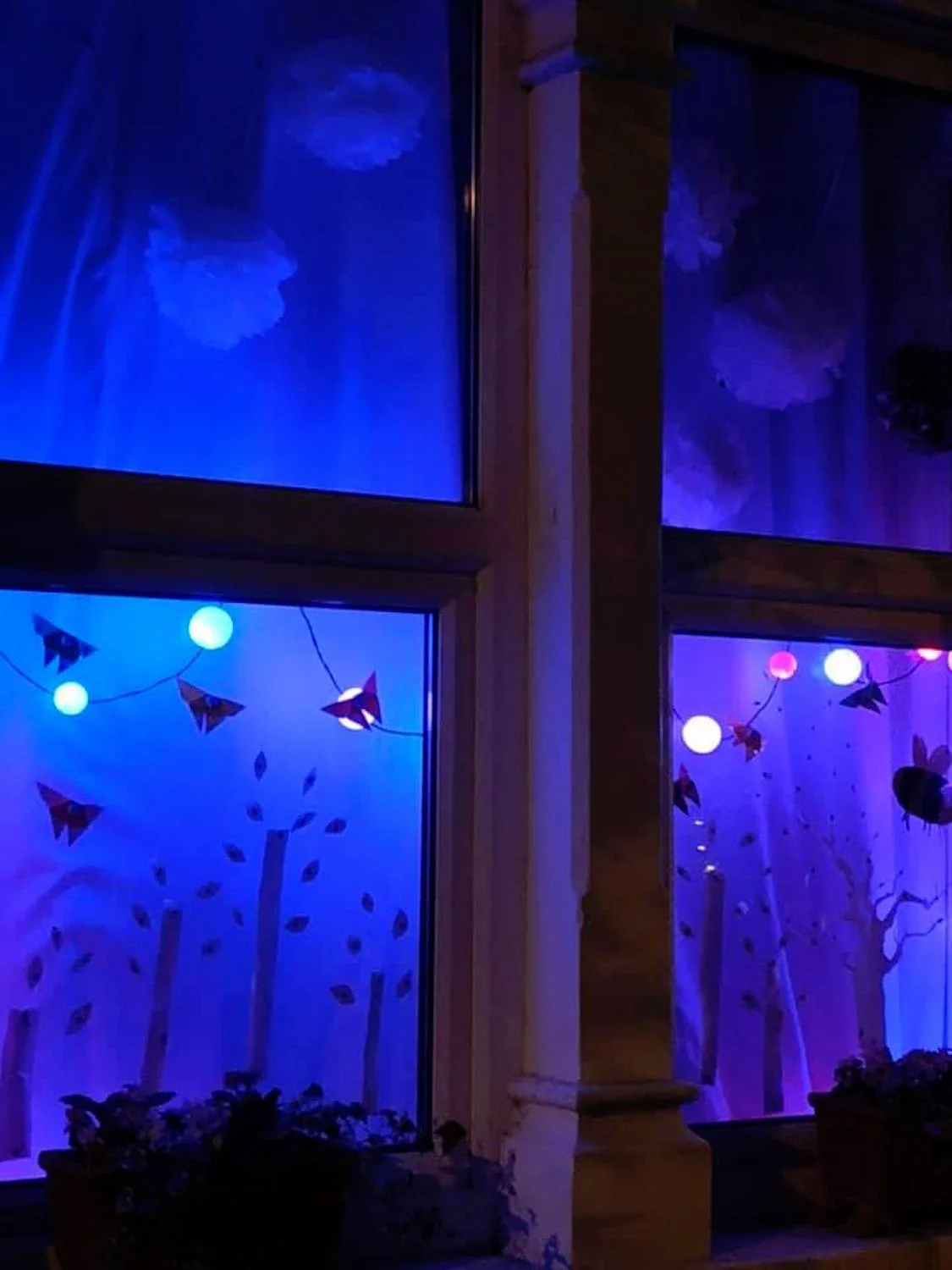 Moths.jpg