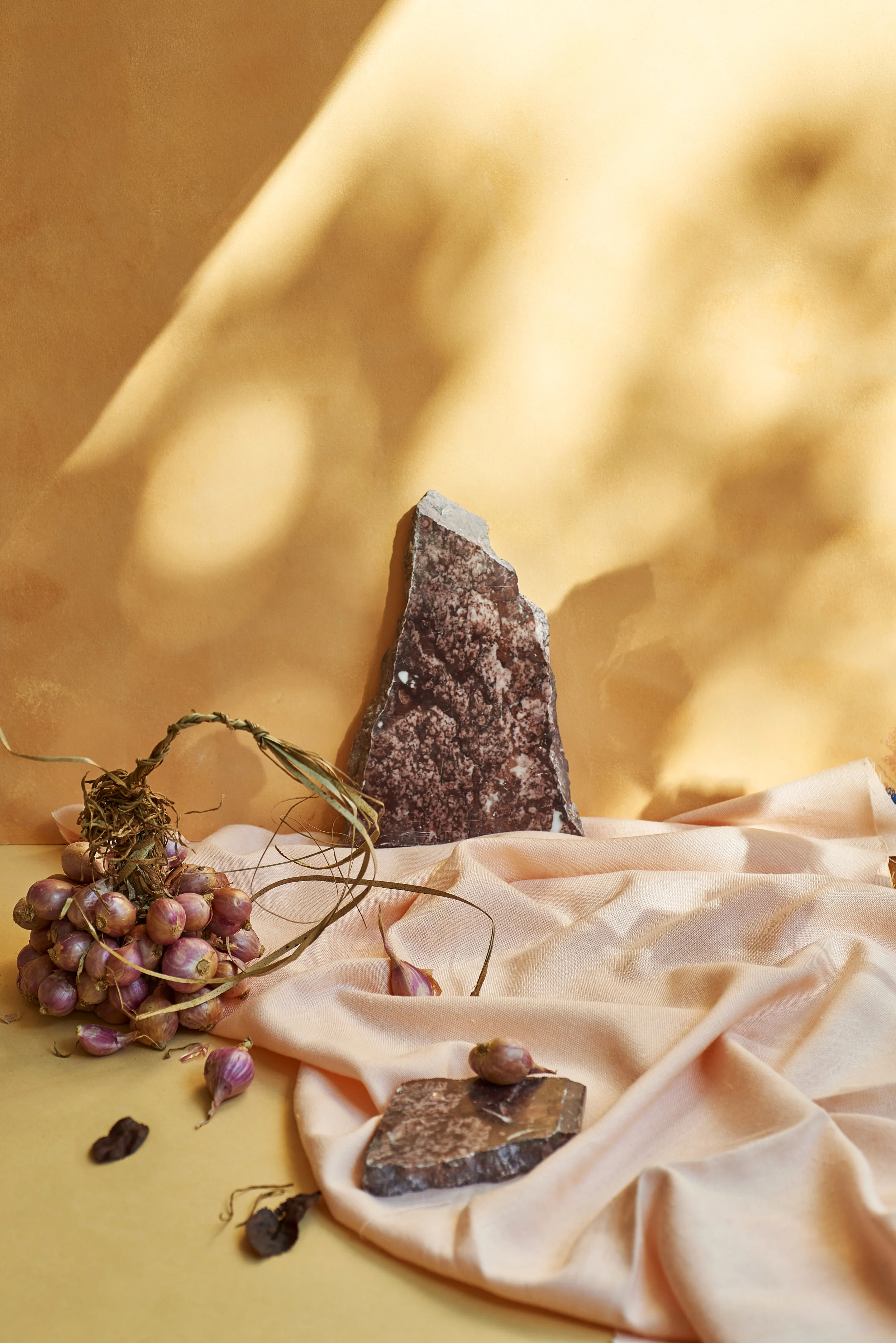 BeckerLau_Autumn 163_crop_final.jpg