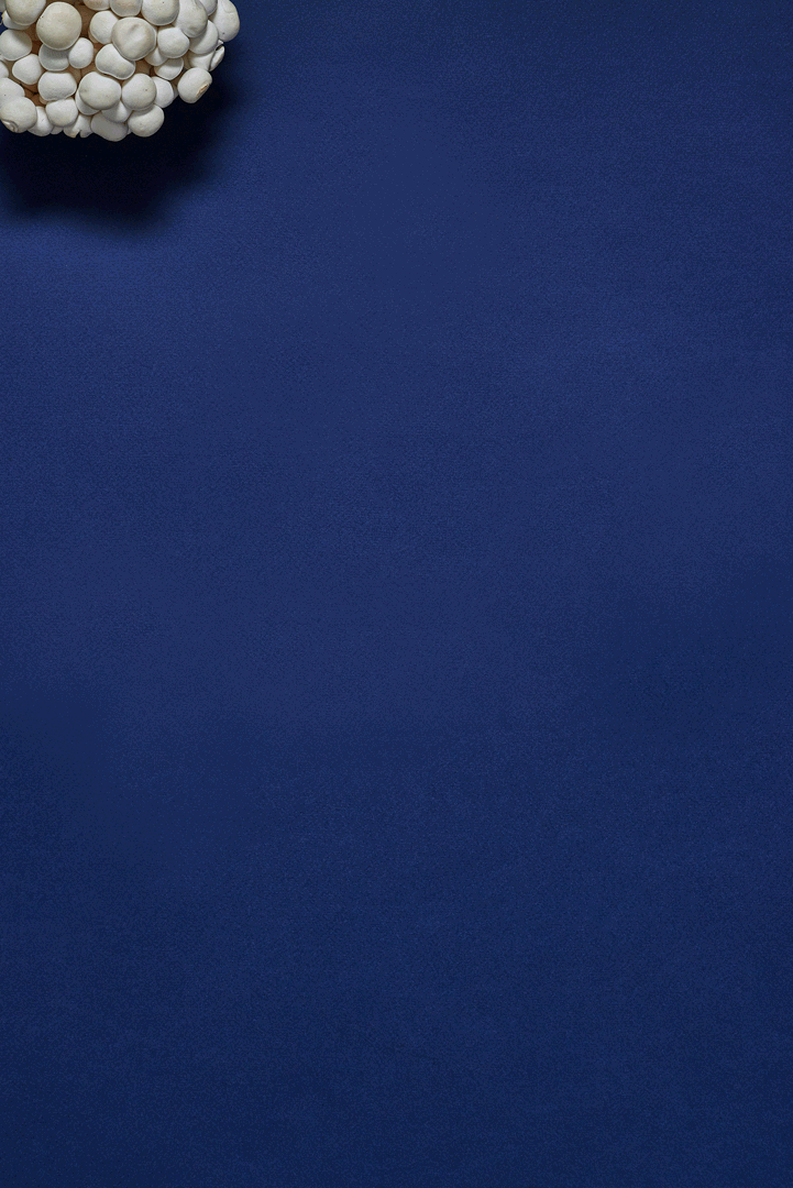 MushroomGIF_cropped_sat_6sec.gif