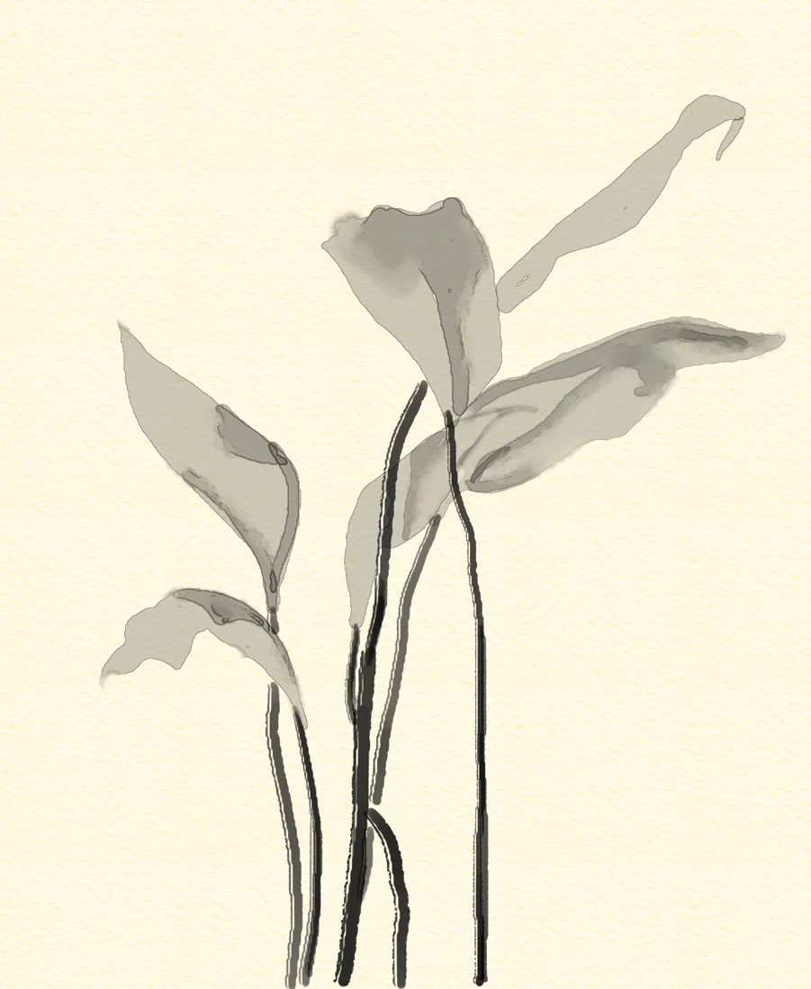 Jaymasacco_curatedselection_plant.jpg
