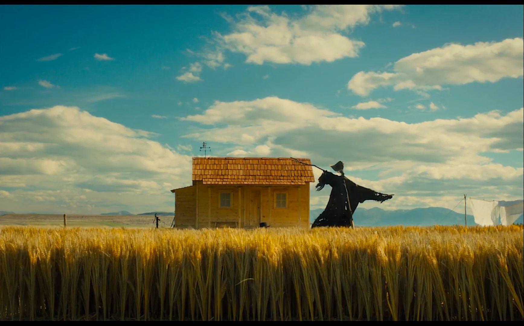 The scarecrow saw a hat.