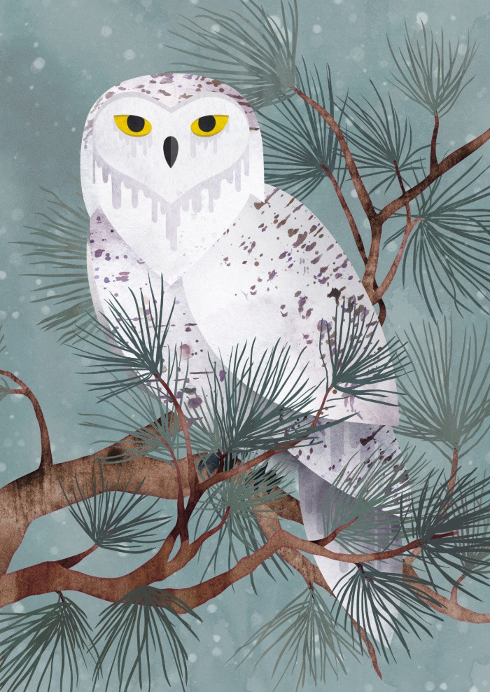 Snowy