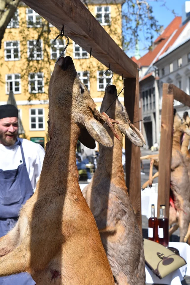 Nyskudte bukke prydede torvet - se billederne 