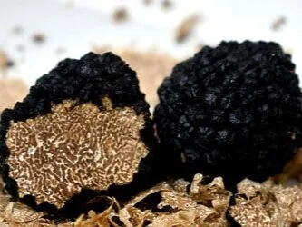 Find din indre trøffelgris: 2 x trøffelmiddag 