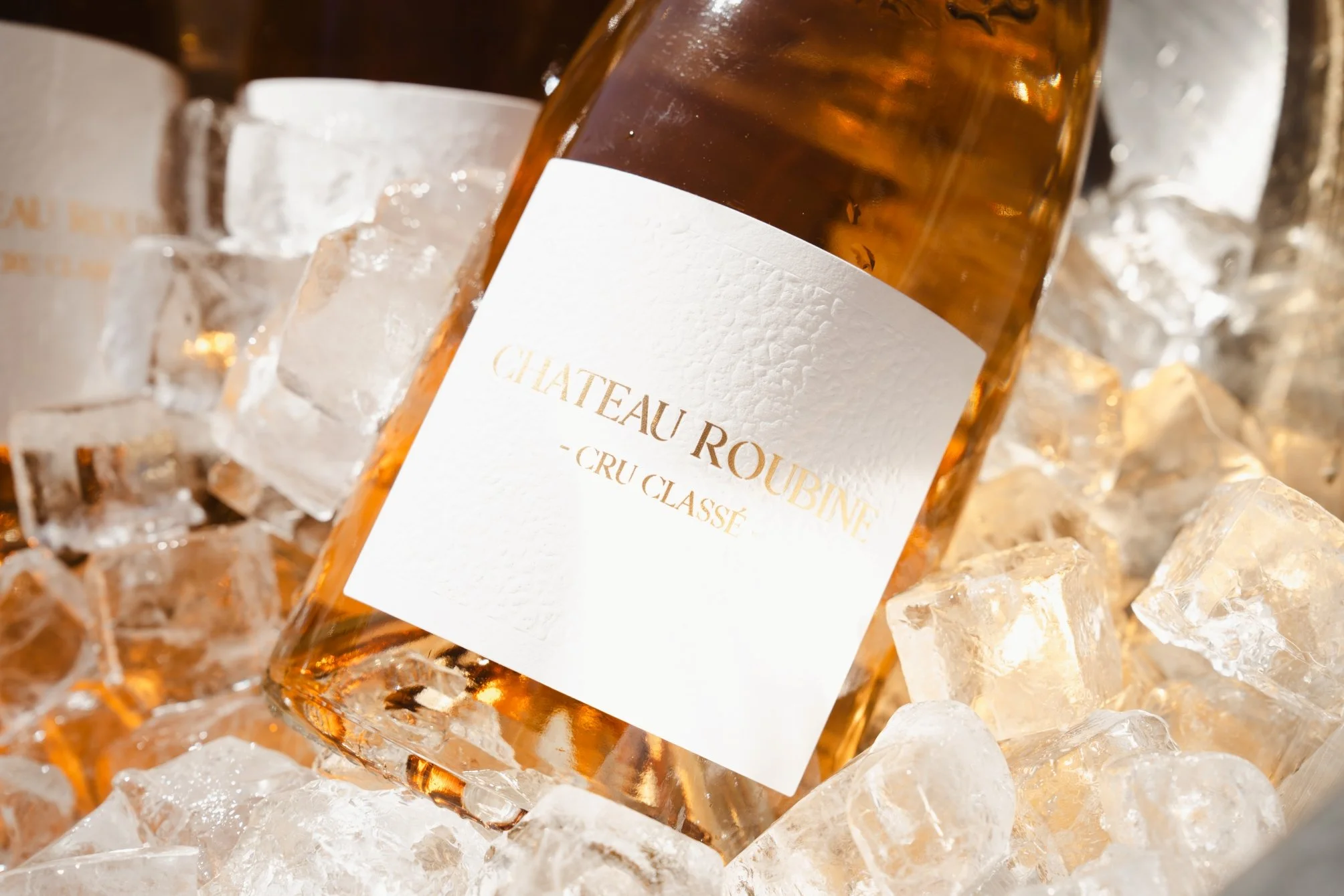 Rose i det fri_2026_1.jpg