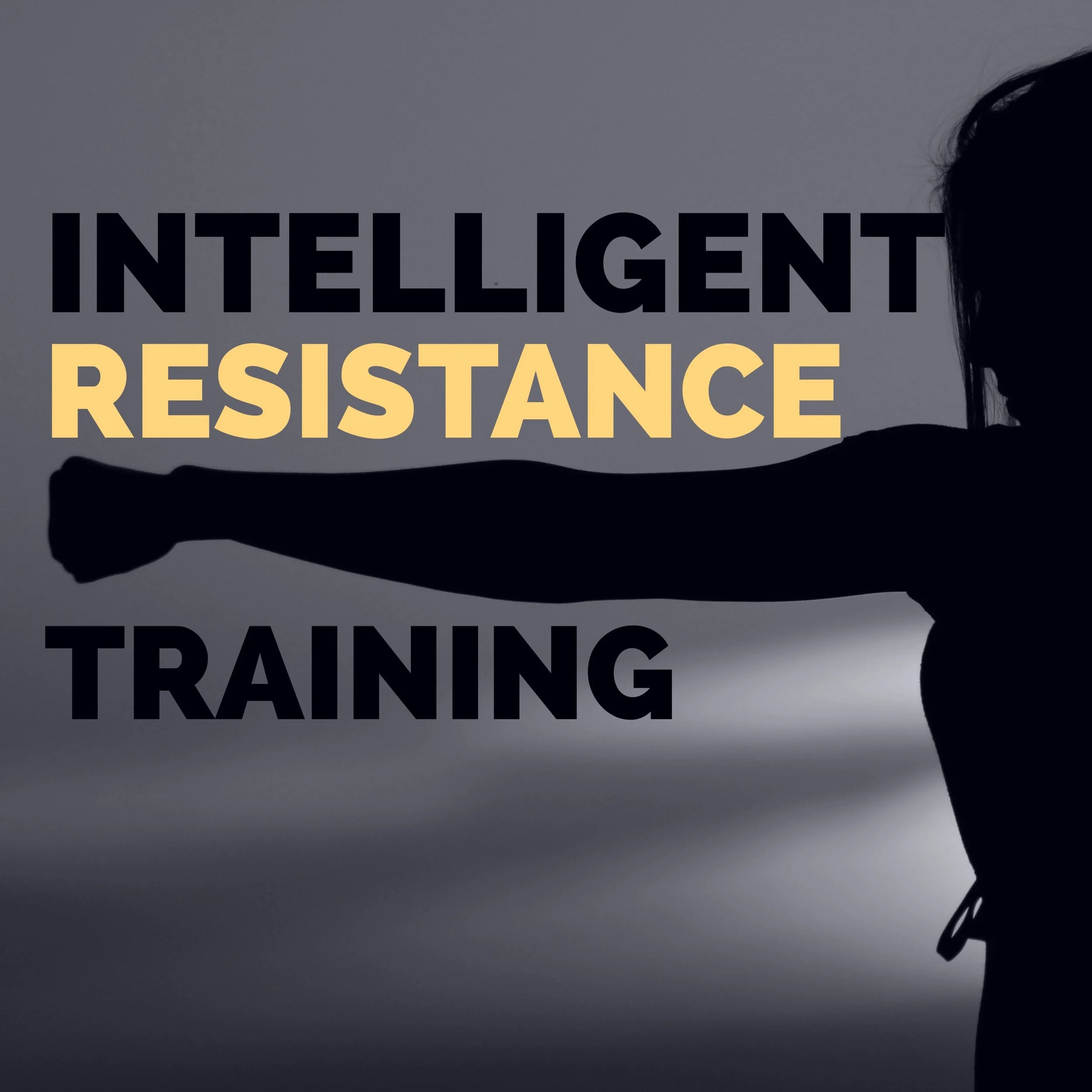 Silver Lake Pilates AvenirLA Reformer Pilates in Los Angeles