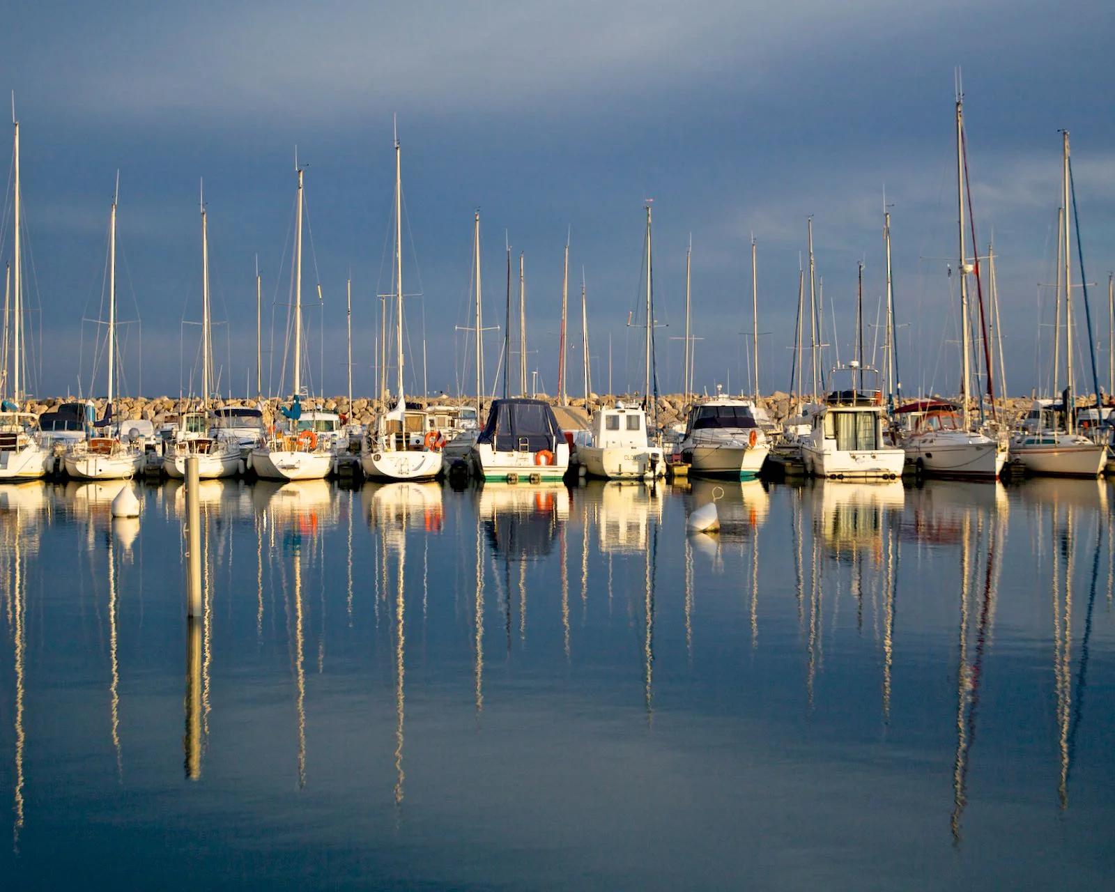 IMG_8772.jpg