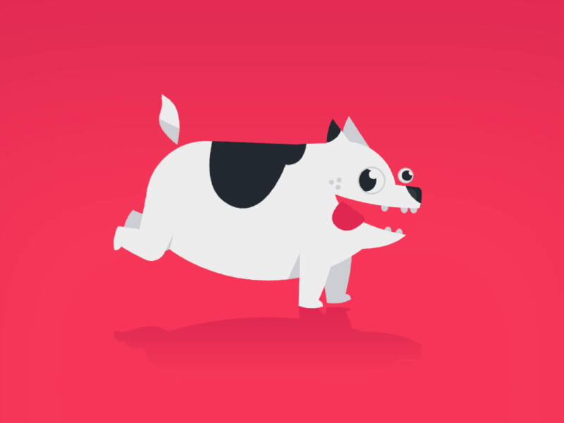 Brisbane LoopDeLoop Dog Animation