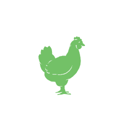 Hen_1.gif