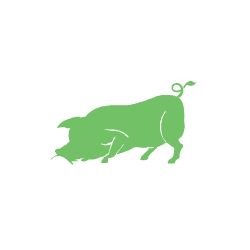 Pig_2.gif