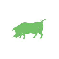 Pig_2V2.gif