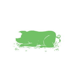 Pig_3.gif