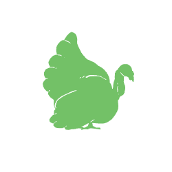 Turkey_1.gif