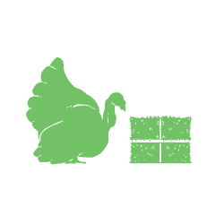 Turkey_2.gif