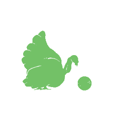 Turkey_4.gif