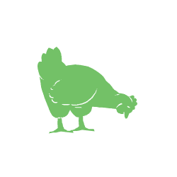 Chicken_1.gif
