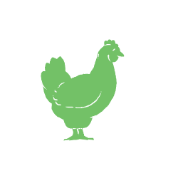 Chicken_4.gif