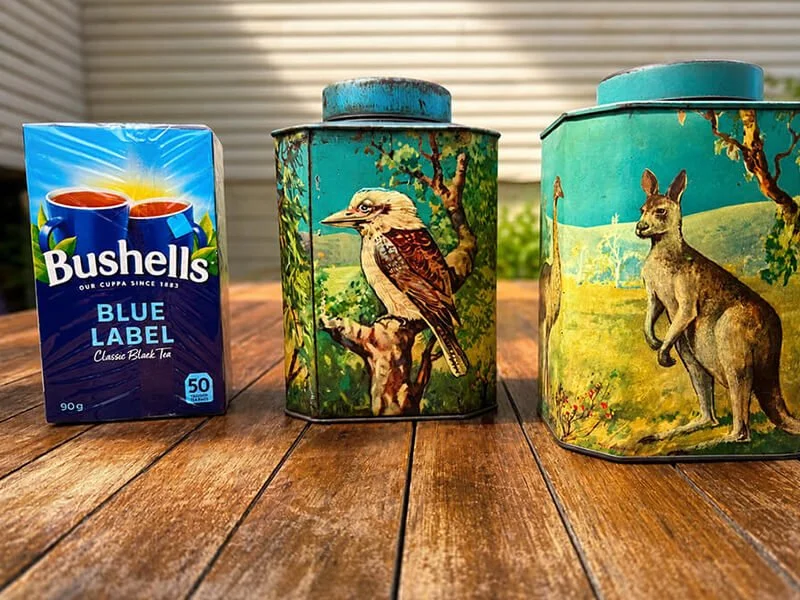 2d Brisbane Bushells Animation