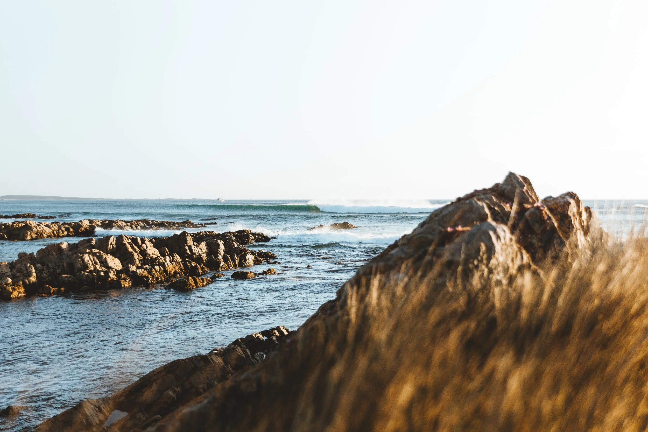 West Coast View.jpg