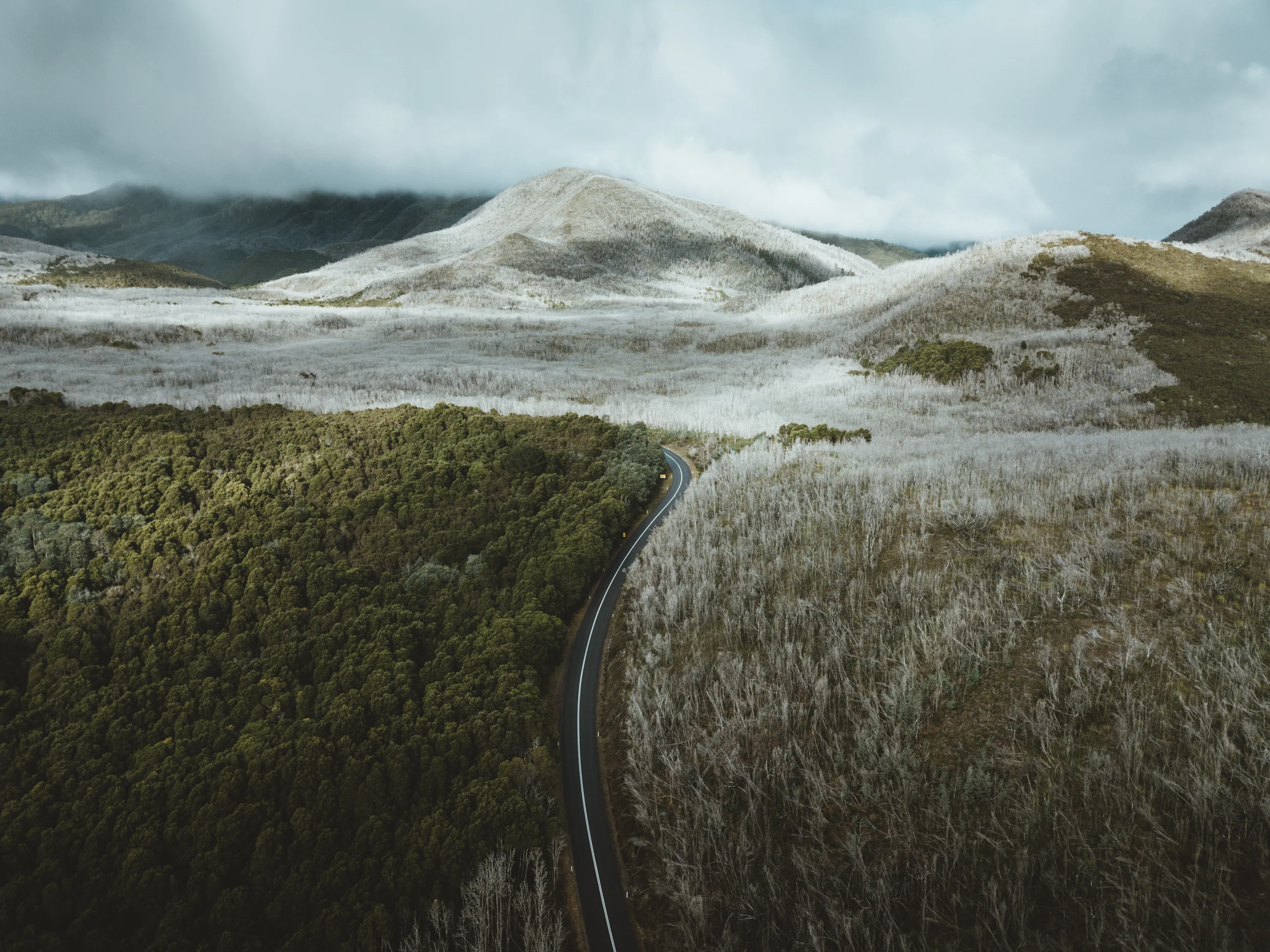 (4) Nelson Falls Rd.jpg