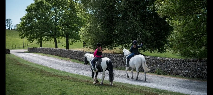 LiveryFamily — Larkrigg Riding School