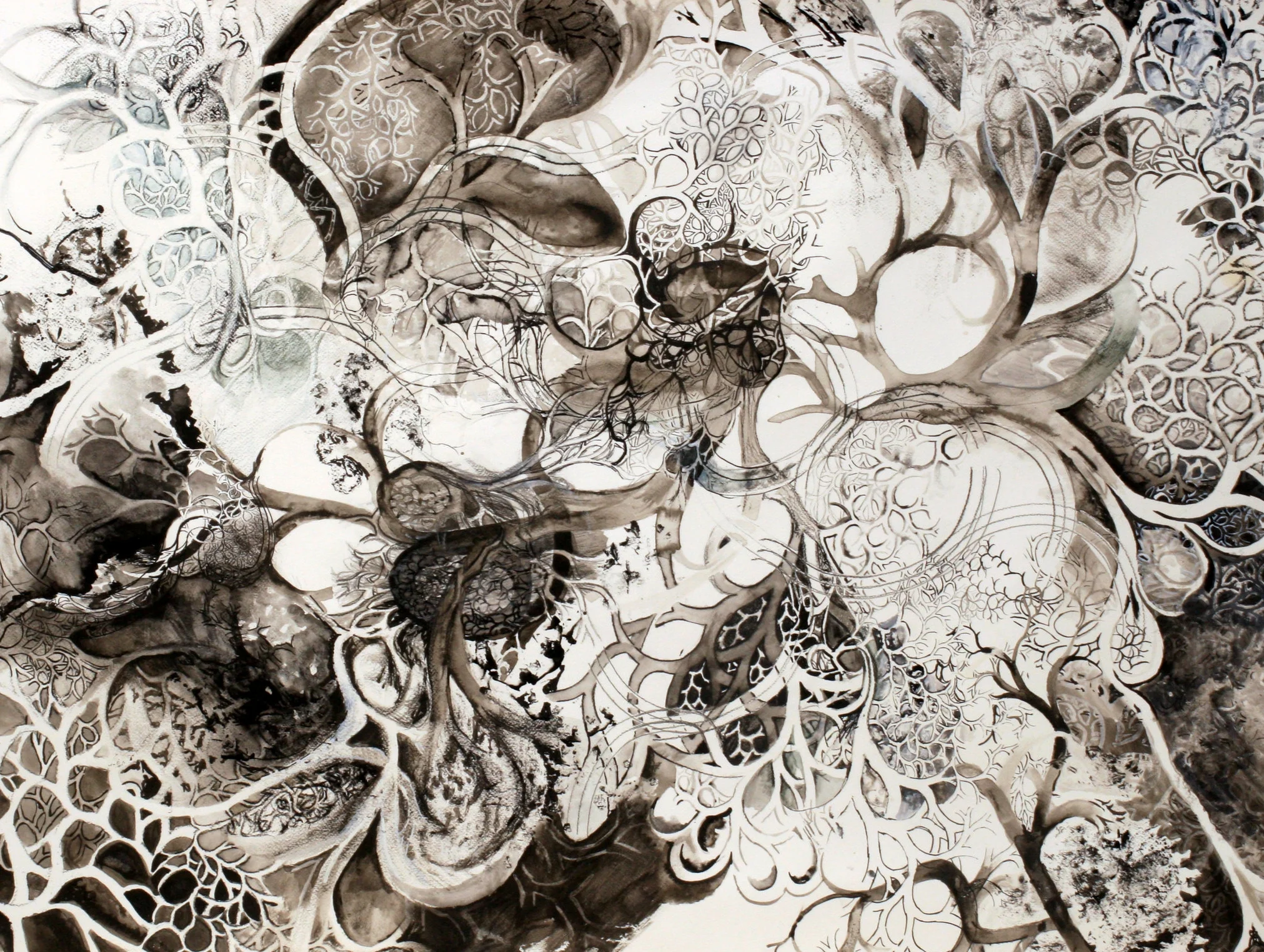 Flowering in Black n’White.JPG