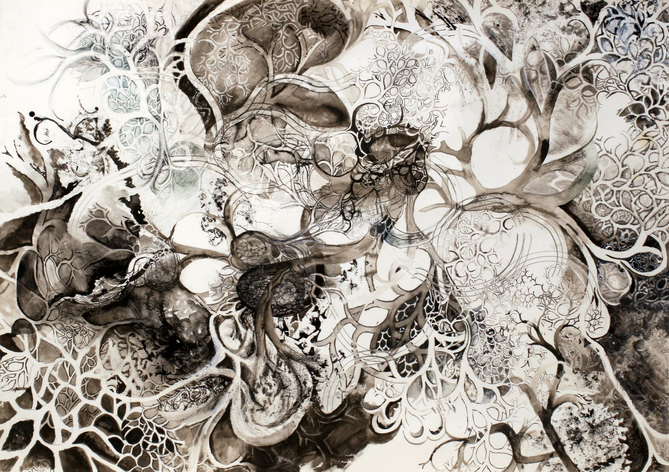 Flowering In Black n' White